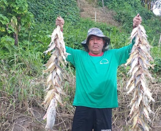 Fartura: Morador mostra embiricica de mandin após pescaria