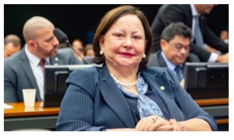 Vanda Milani comemora aprovação de MP que estimula geração de emprego para jovens