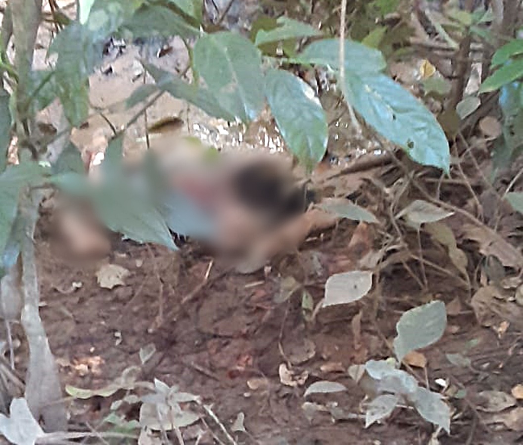 Corpo de mulher degolada é encontrado em área de mata no bairro Calafate