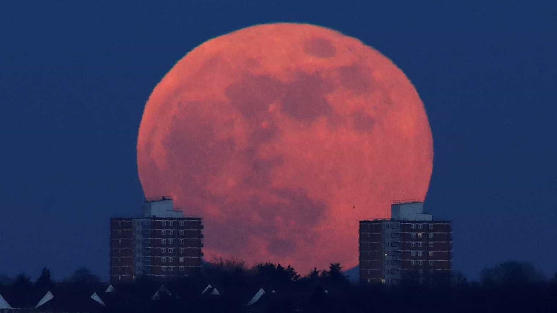 Maior superlua do ano vai acontecer na noite desta terça-feira