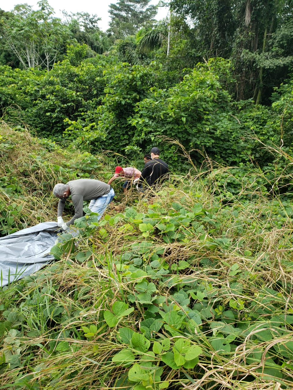 Corpo é encontrado com marca de golpes de faca em área de mata no interior do Acre