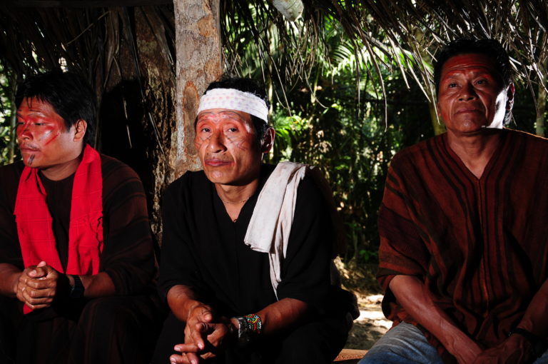 Ashaninka: os defensores da floresta amazônica