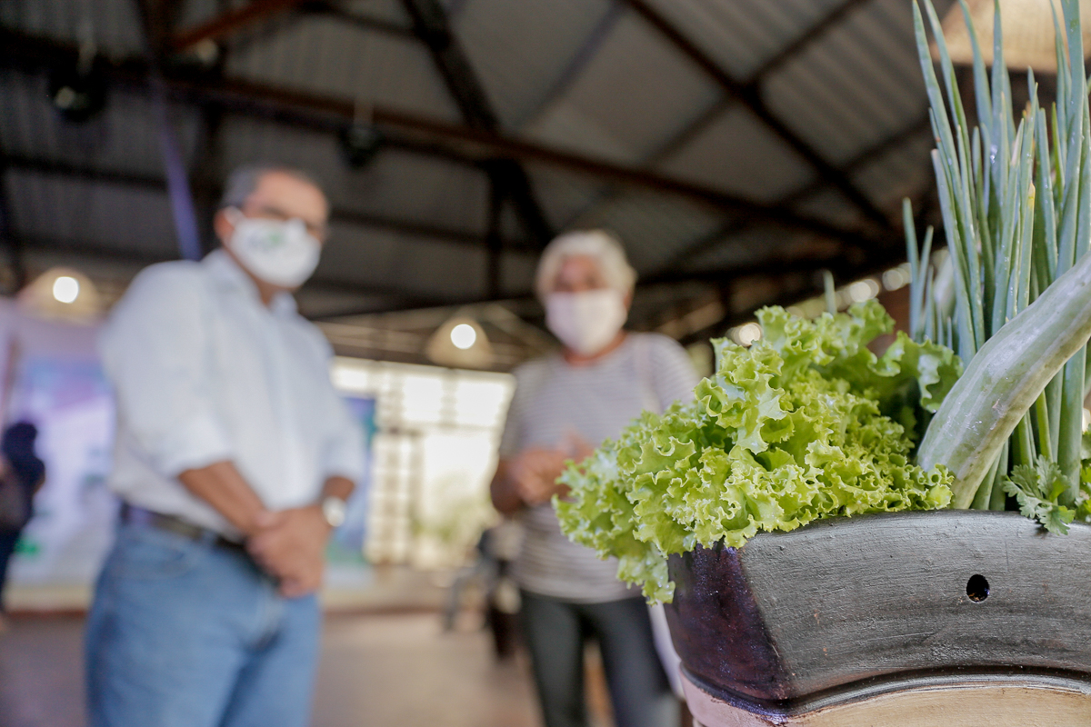 Feira virtual dá visibilidade a produtos de baixa emissão de carbono