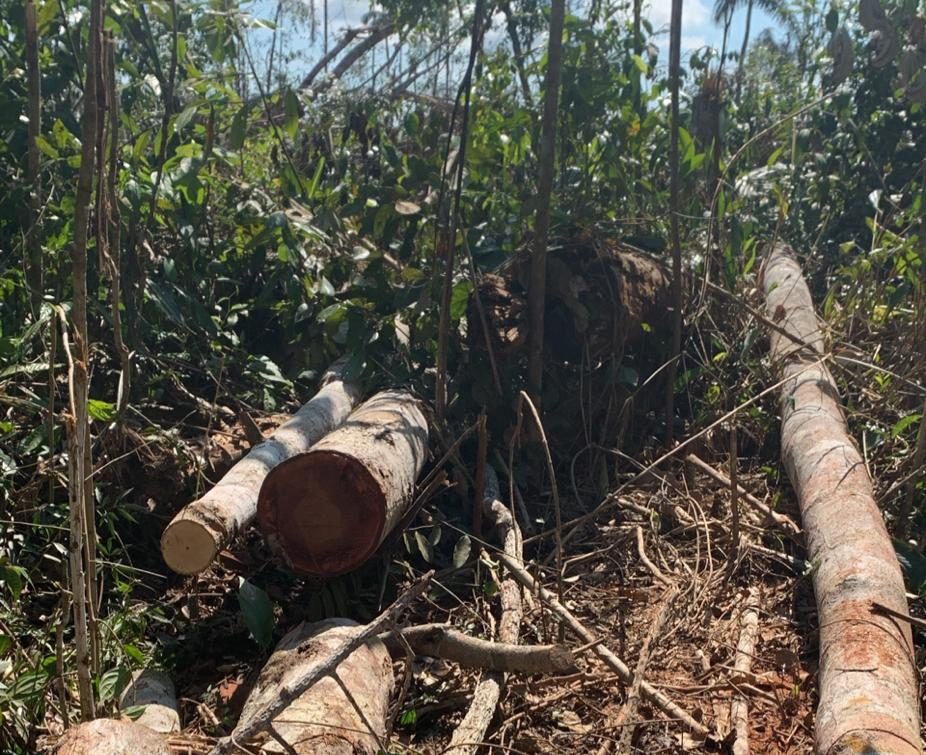 PF deflagra Operação para combater trabalho escravo