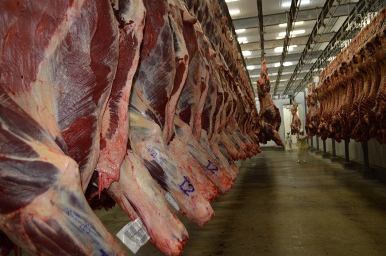 Com redução de abates e evasão de rebanho, preço da carne sobe no Acre