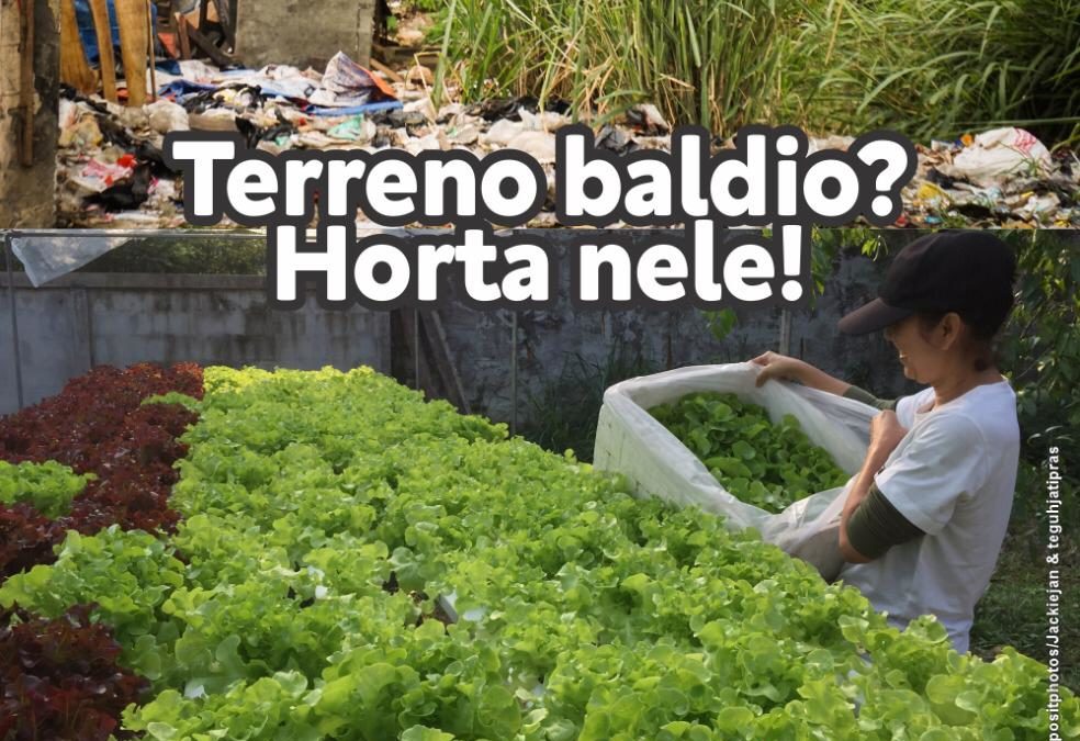MPAC propõe transformar terrenos vazios em hortas urbanas