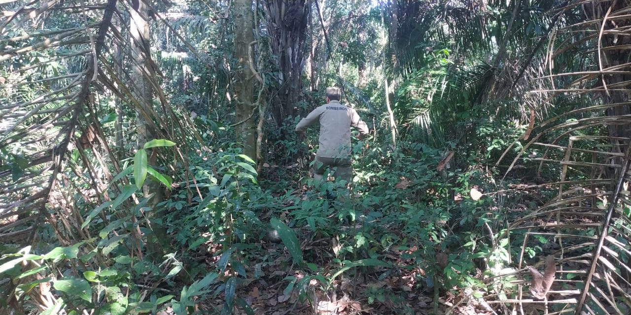 Em Xapuri, homem desaparece na mata, é encontrado e no dia seguinte some de novo