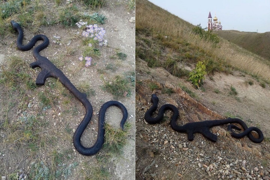 Uma cobra engoliu um fuzil AK-47 na Rússia?