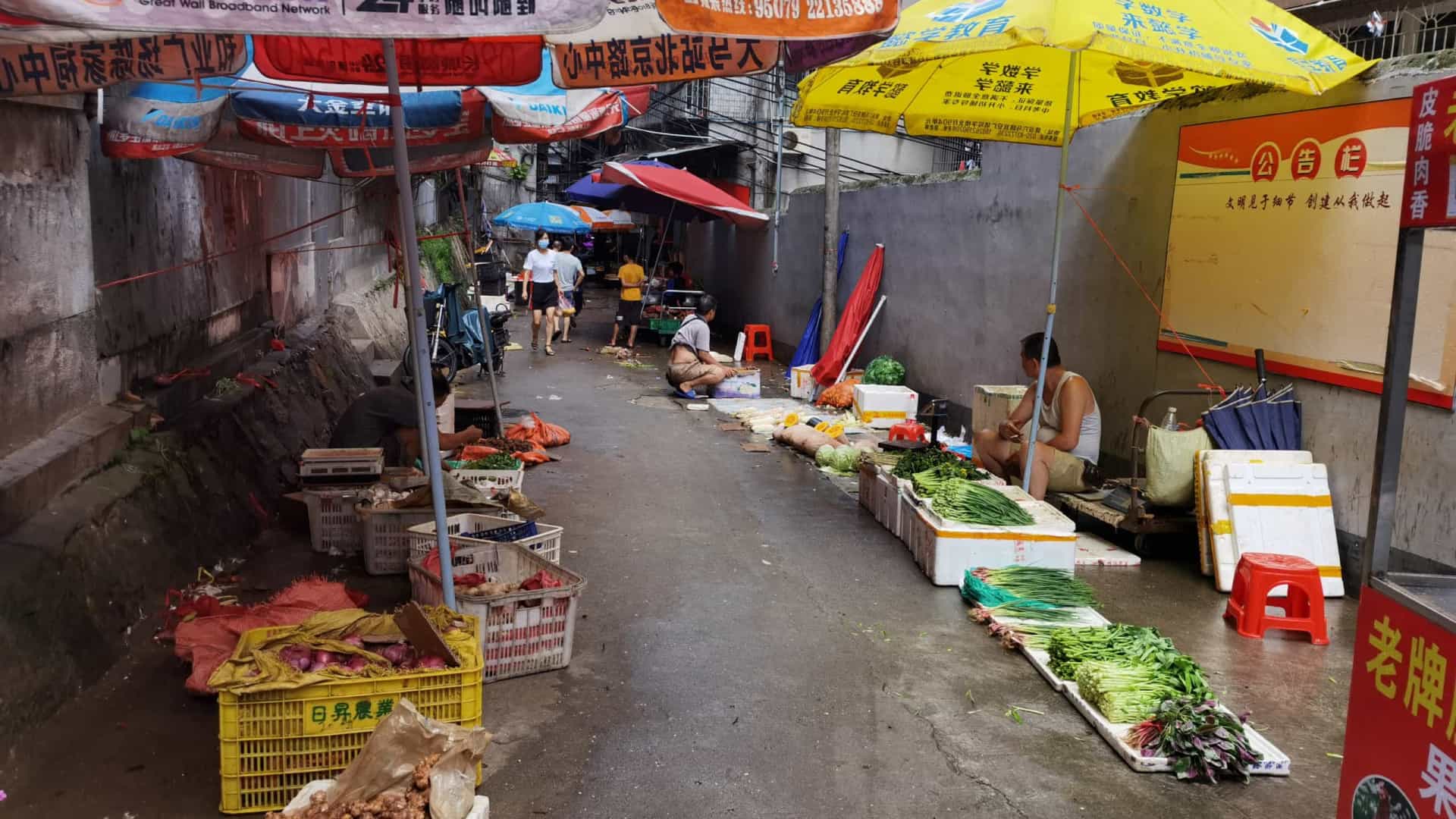China vai encerrar gradualmente todos os mercados de aves vivas