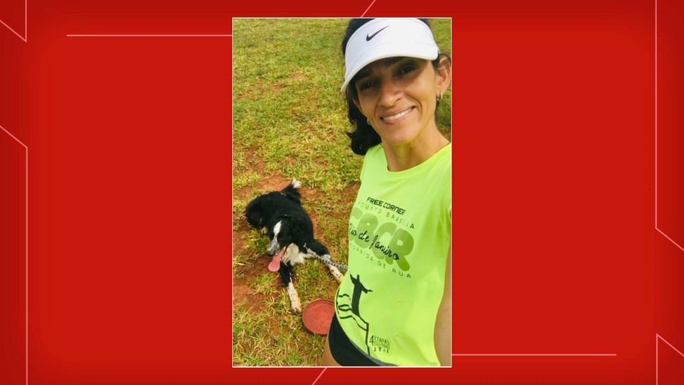 Abelhas atacam família no Parque da Cidade, em Brasília; cachorro morreu ao tentar defender dona