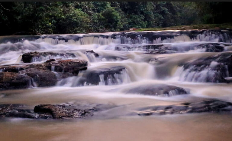 Belezas naturais e biodiversidade única da Serra do Divisor