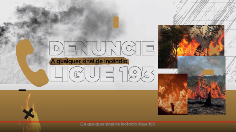 ALEAC – QUEIMADAS DESTROEM