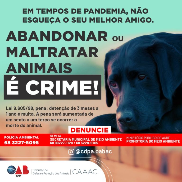OAB/AC inicia campanha contra abandono de animais durante a pandemia