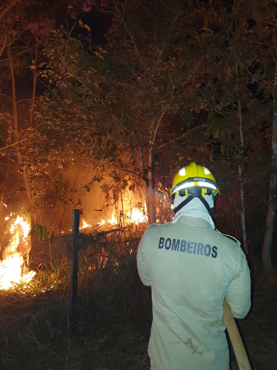 Sena registra 11 ocorrências de incêndios em vegetação em 24 horas