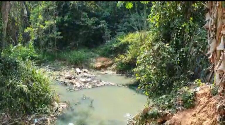 Igarapé Batista sofre com severa poluição e moradores convivem com água cheirando a esgoto