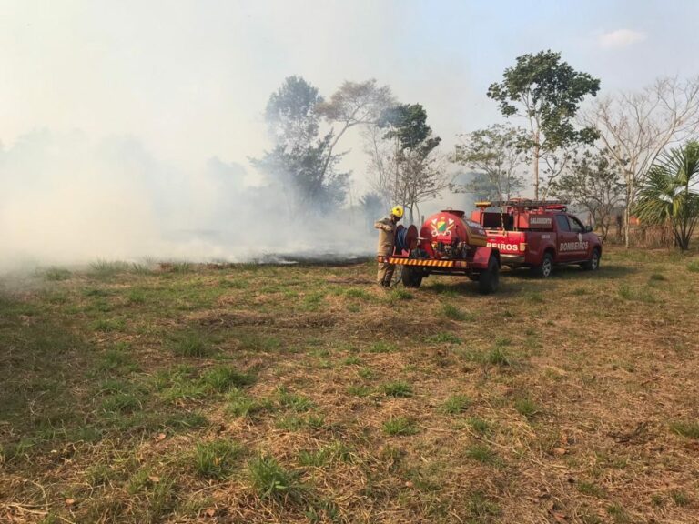 Queimadas urbanas atingem Viveiro da Floresta e fogo é contido por bombeiros
