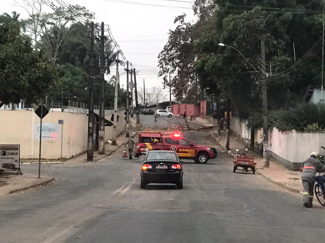 Friagem: Bombeiros já atenderam 18 ocorrências por causa de ventania na Capital