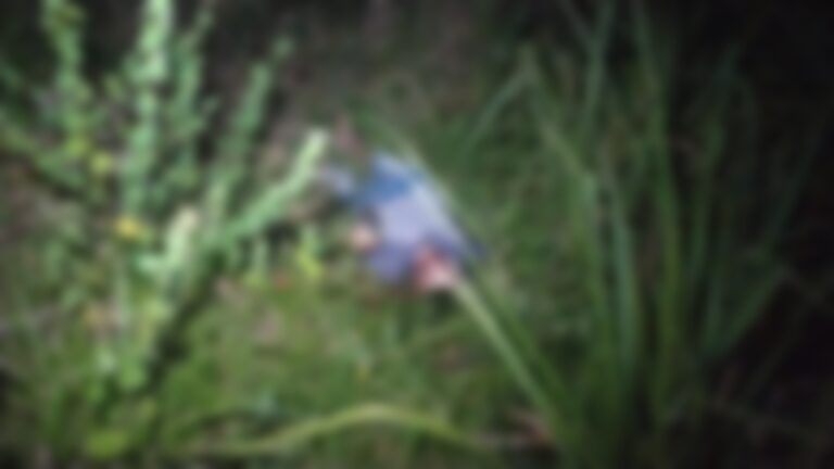 Criança encontra corpo dentro da mata na Praia do Amapá ao ir buscar bola de futebol