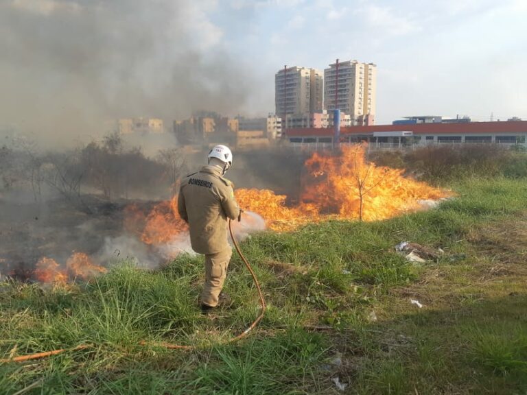 Imac já aplicou mais de R$ 6 milhões em multas ambientais apenas em agosto
