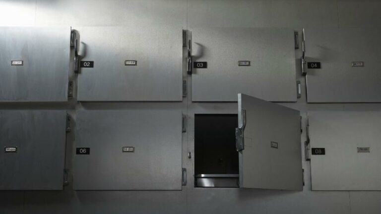 Menina declarada morta ‘volta à vida’ enquanto era preparada para funeral