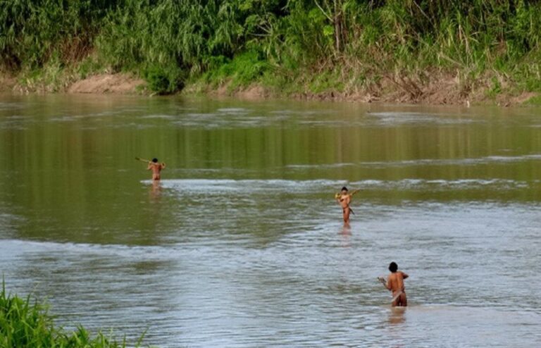 Grupo de índios isolados faz contato em aldeia do Acre em meio à pandemia