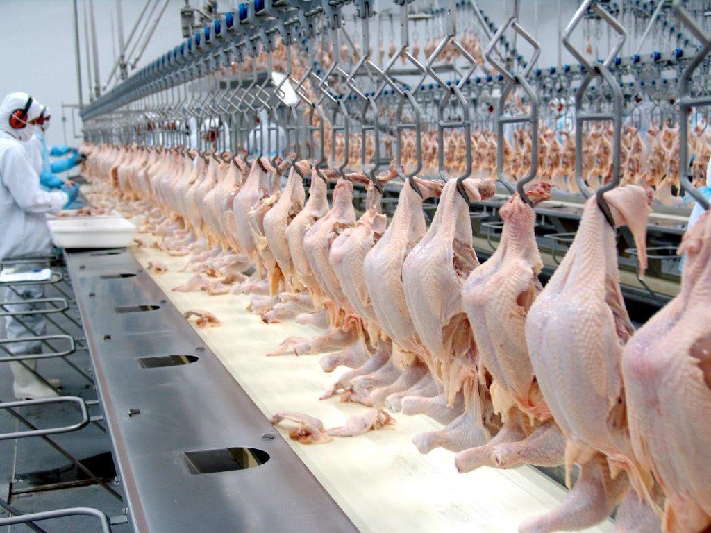 Sindicato dos Frigoríficos critica redução de ICMS do frango congelado no Acre