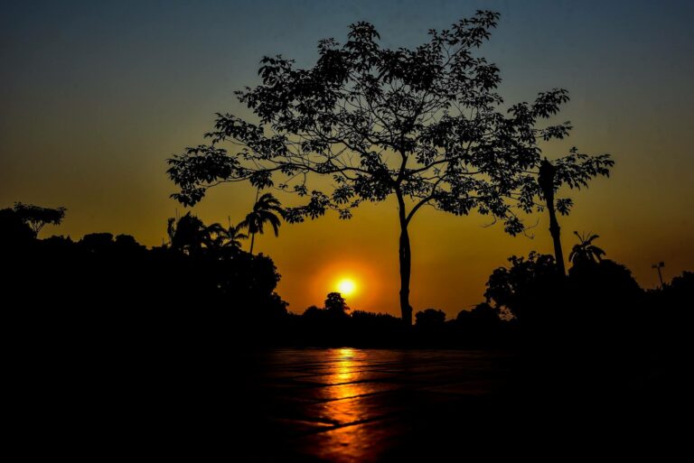 Mais um dia nascendo em Rio Branco