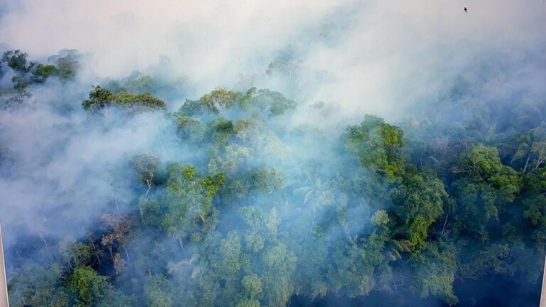 Fogo descontrolado na Amazônia assusta pesquisadores e comunidade