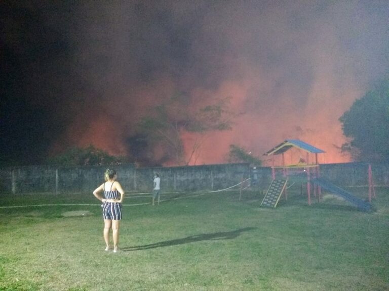 Vídeo: Bombeiros apagam incêndio e salvam paca com as patas queimadas no Calafate