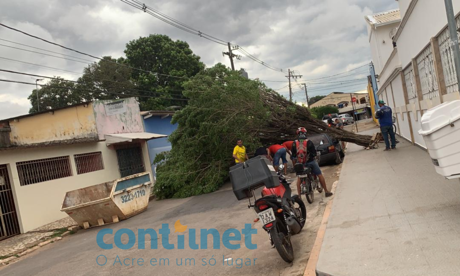 Vídeo: Temporal derruba árvore em cima de carro e bloqueia rua em Rio Branco