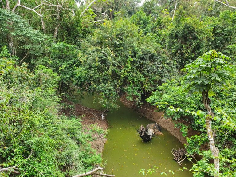 Vídeo: Moradora denuncia ‘morte’ de igarapé que recebe esgoto de presídio na Capital