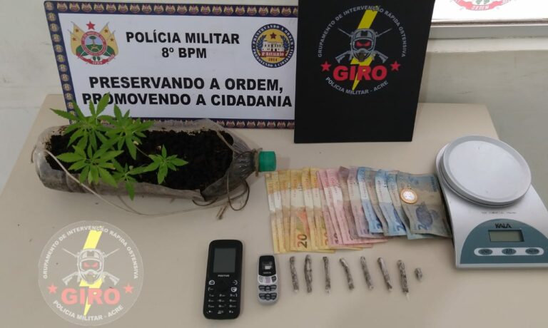 Agricultores do crime: Dupla é presa com plantação de maconha em Sena Madureira