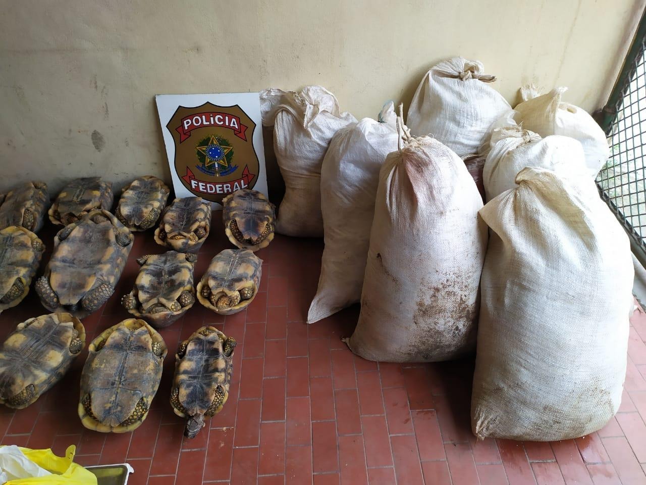 Polícia Federal apreende animais e mais de 400 kg de carne de caça no Acre