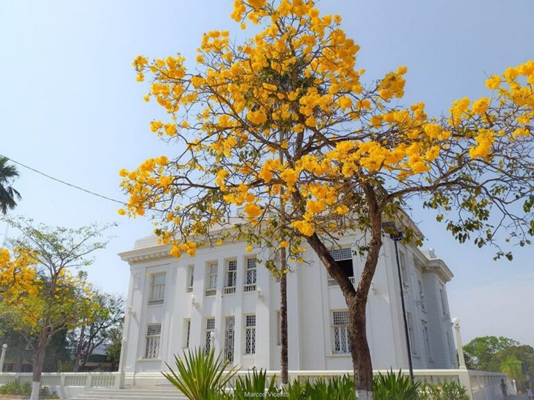 Primavera: O que é o equinócio, que marca o início da estação nesta terça