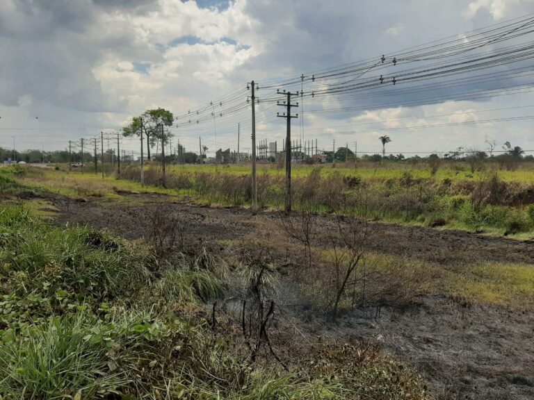 Ultrapassando Rio Branco, Sena registra mais de 600 focos de queimadas em setembro