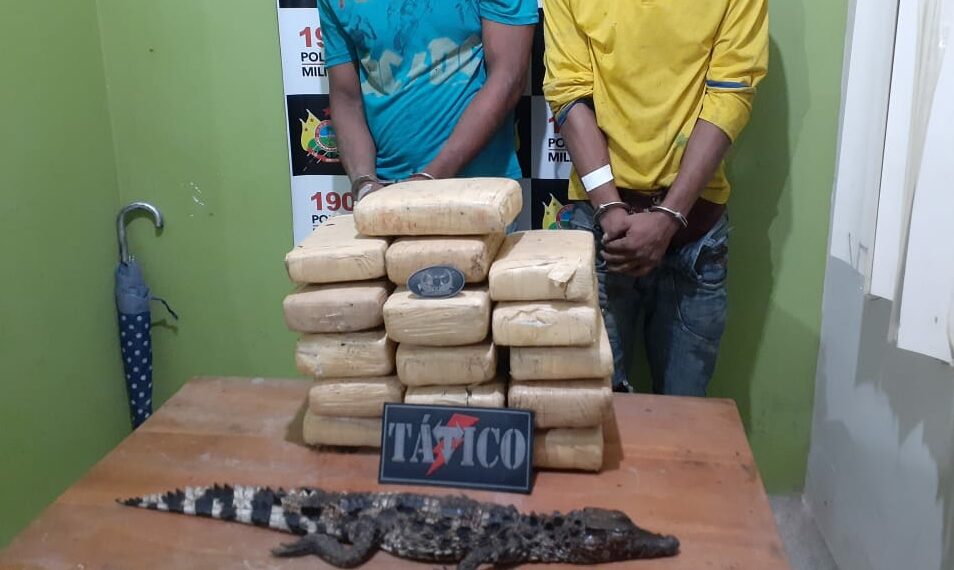 Dupla é presa com um jacaré e 17 kg de drogas e no interior do Acre