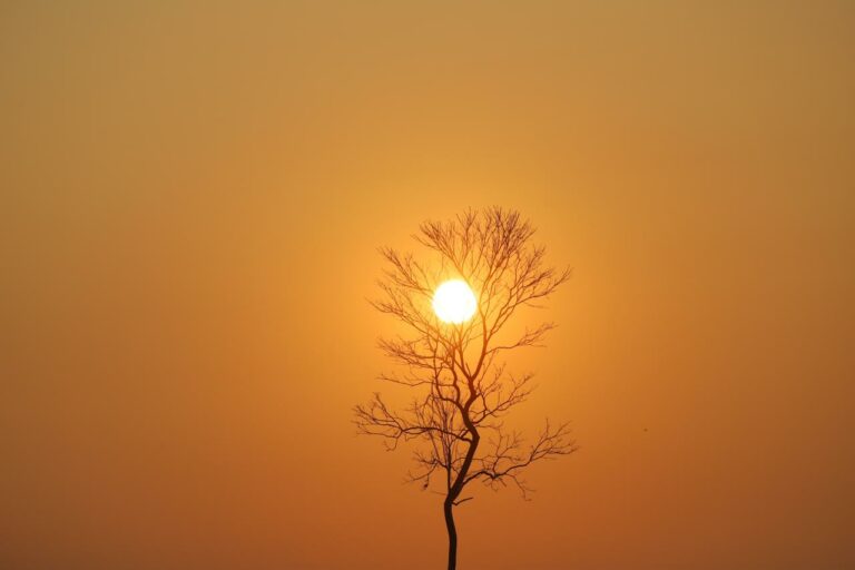 Pôr do sol em Rio Branco