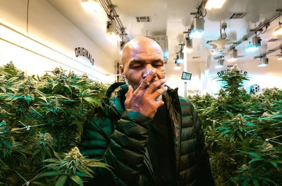 Tyson admite ter fumado maconha antes de luta: “Fumo todo dia”