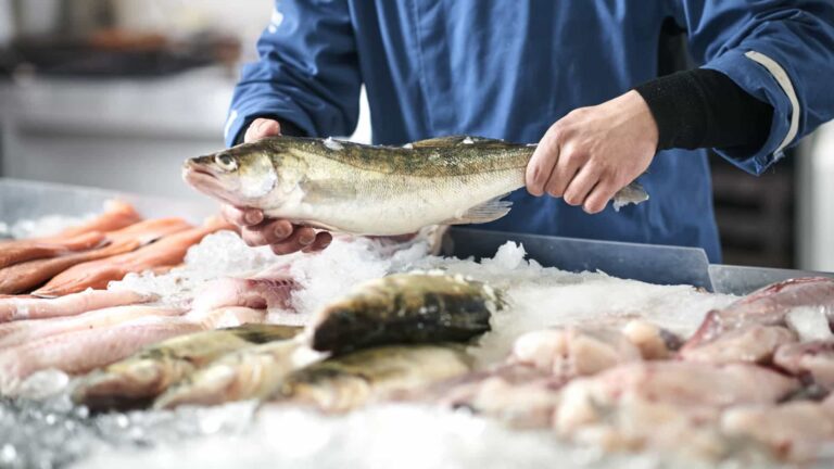 Como saber se o peixe é mesmo fresco? Cinco aspectos para considerar
