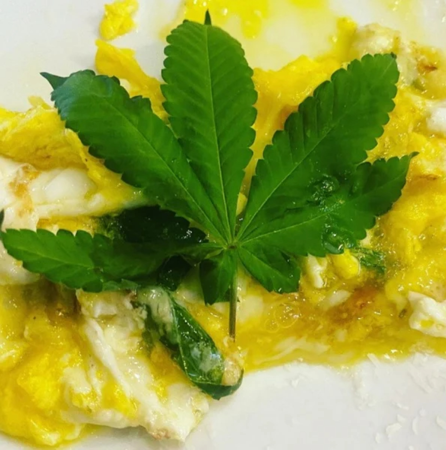 Henrique Fogaça usa maconha em prato, é detonado e rebate comentários: “Péssimo exemplo”