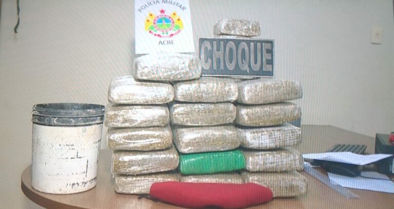 PM prende homem com pé de maconha e cerca de 18 kg de droga em casa na Estação