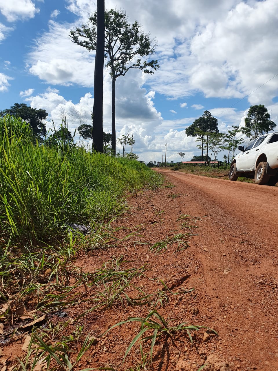 Condenados pelo ‘tribunal do crime’ irmãos são mortos a facadas no interior