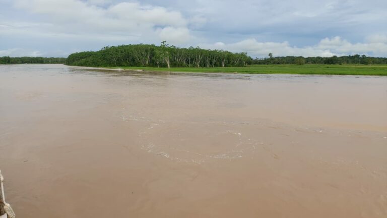 Rios Acre e Tarauacá voltam a subir e Juruá segue acima da cota de alerta, mas vazando