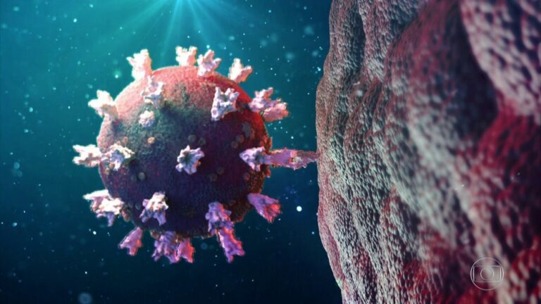 Número de mortes por Covid no Amazonas passa de 6,3 mil