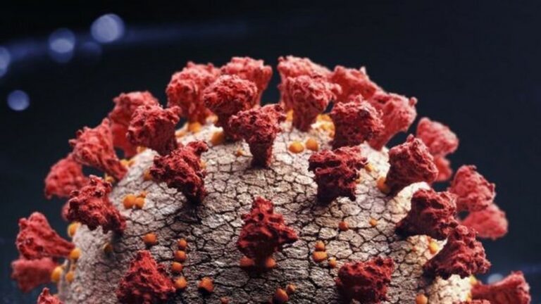 EUA detectam primeiro caso da nova variante do coronavírus