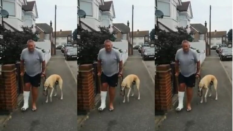 Homem manco gasta R$ 2 mil em veterinário e descobre que seu cão o imitava