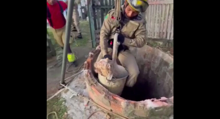 Vídeo: Bombeiros resgatam cão que se afogava após cair em poço com 6m no AC
