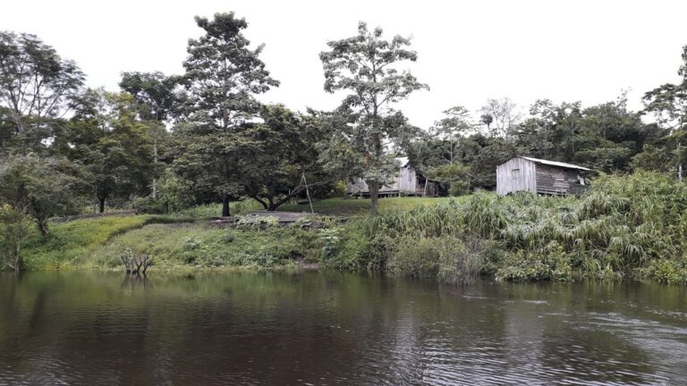 Arqueólogos identificam 48 ilhas construídas por indígenas na Amazônia da era pré-colonial