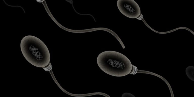 Fertilidade de homens pode ser significativamente afetada por Covid-19