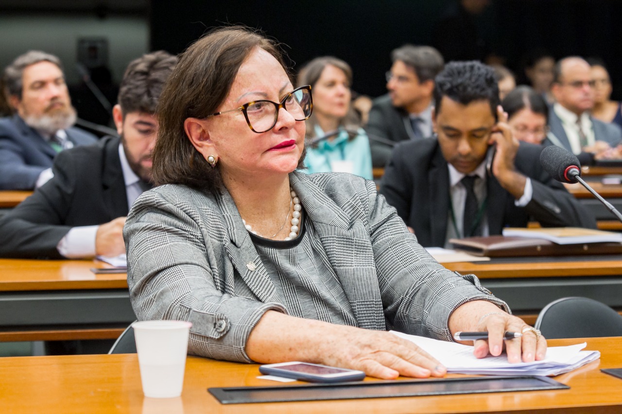Vanda Milani defende volta do auxilio emergencial para segurança alimentar da família